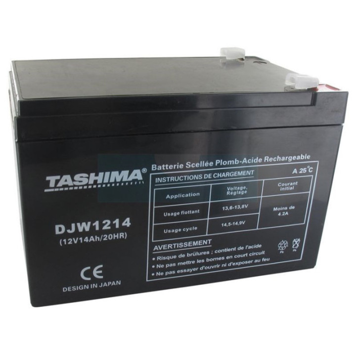 Batterie motoculture Tashima 12V, 14Ah adaptable pour ECOMOWER (DJW1214)