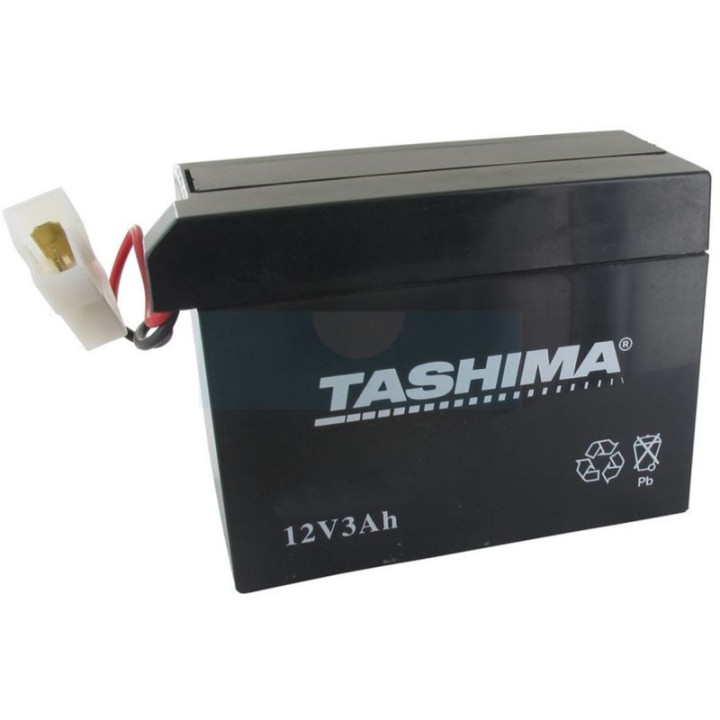 Batterie motoculture Tashima 12V, 3Ah (FBT19)