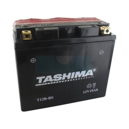 Batterie plomb étanche sans entretien 12V, 10Ah (FT12BBS)