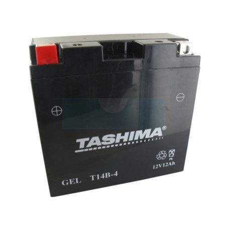 Batterie plomb étanche 12V gel/agm, 12Ah (FT14B4)