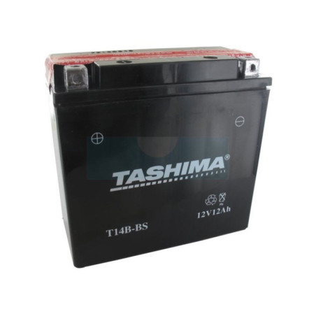 Batterie plomb étanche 12V agm, 12Ah (FT14BBS)