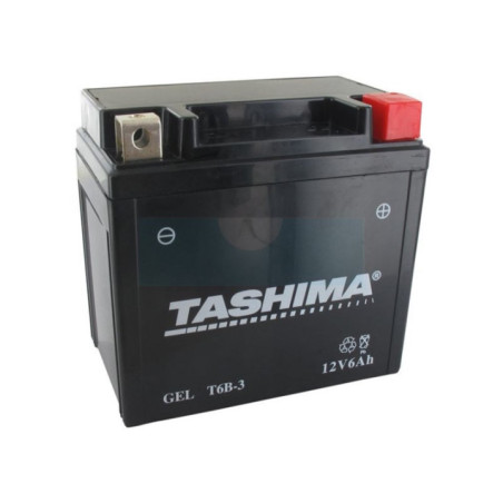 Batterie plomb étanche 12V gel/agm Tashima, 6Ah (FT6B3)