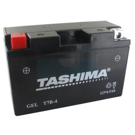 Batterie plomb étanche 12V gel/agm, 6,5Ah (FT7B4)