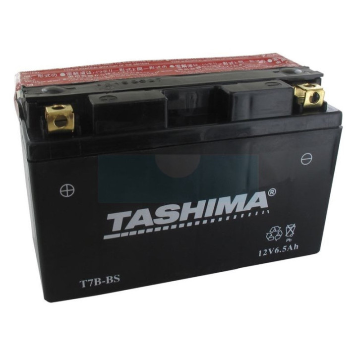Batterie plomb étanche sans entretien 12V, 6Ah (FT7BBS)