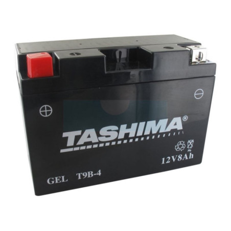 Batterie plomb étanche 12V gel/agm, 8Ah (FT9B4)