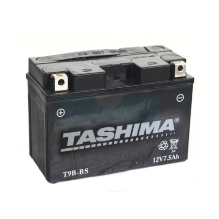 Batterie plomb étanche 12V agm, 8Ah (FT9BBS)