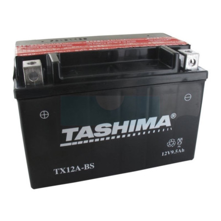 Batterie plomb étanche sans entretien 12V, 9,5Ah (FTX12ABS)