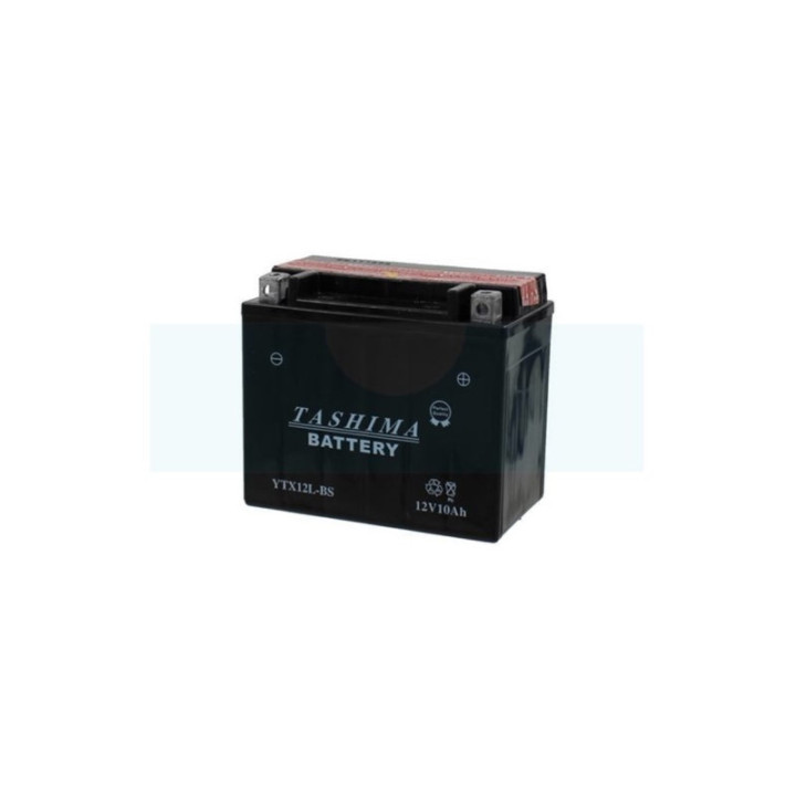 Batterie plomb étanche sans entretien Tachima 12V, 10Ah (FTX12LBS)