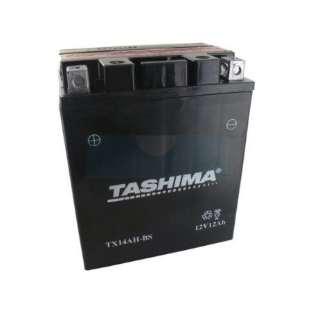 Batterie plomb étanche haute performance sans entretien 12V, 12Ah (FTX14AHBS)