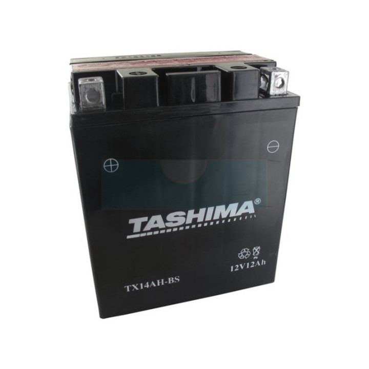 Batterie plomb étanche haute performance sans entretien 12V, 12Ah (FTX14AHBS)