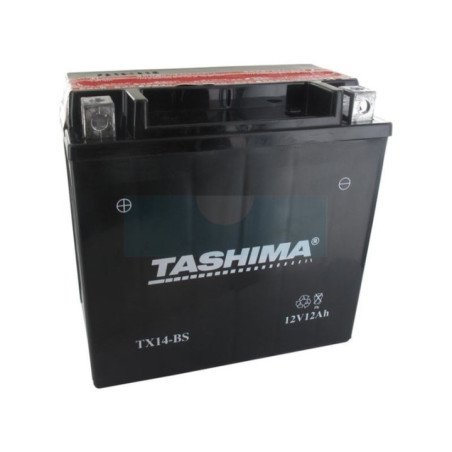 Batterie plomb étanche sans entretien 12V, 12Ah (FTX14BS)