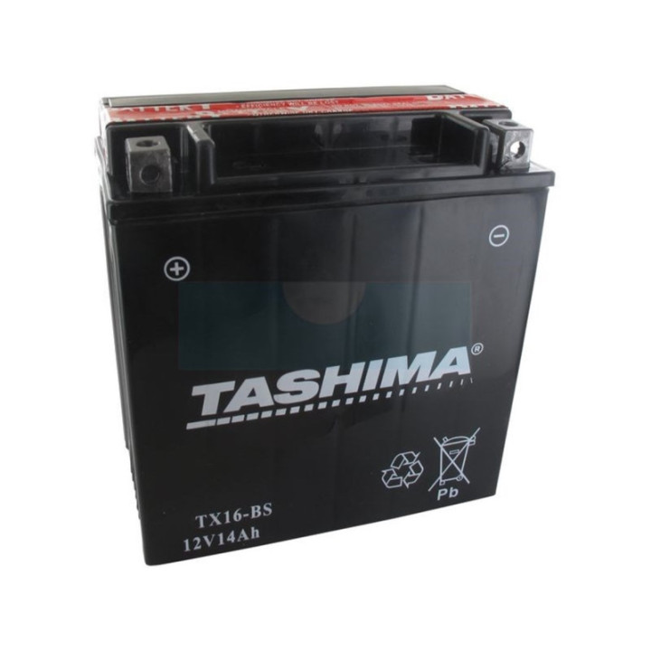 Batterie plomb étanche sans entretien Tashima 12V, 14Ah (FTX16BS)