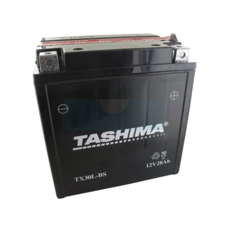 Batterie plomb étanche sans entretien 12V, 30Ah (FTX30LBS)