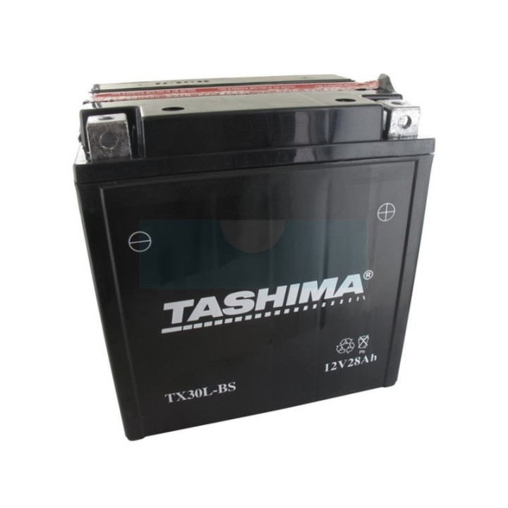 Batterie plomb étanche sans entretien 12V, 30Ah (FTX30LBS)