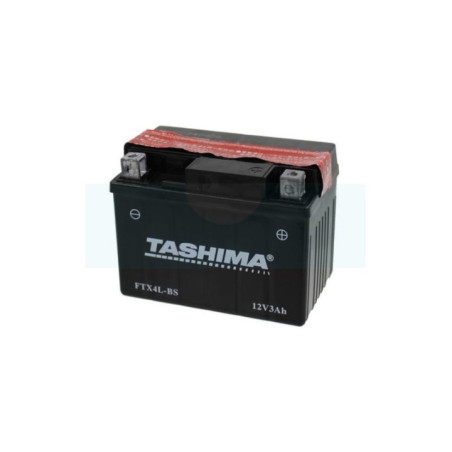 Batterie plomb étanche gel/agm sans entretien 12V, 3Ah (FTX4LBS)