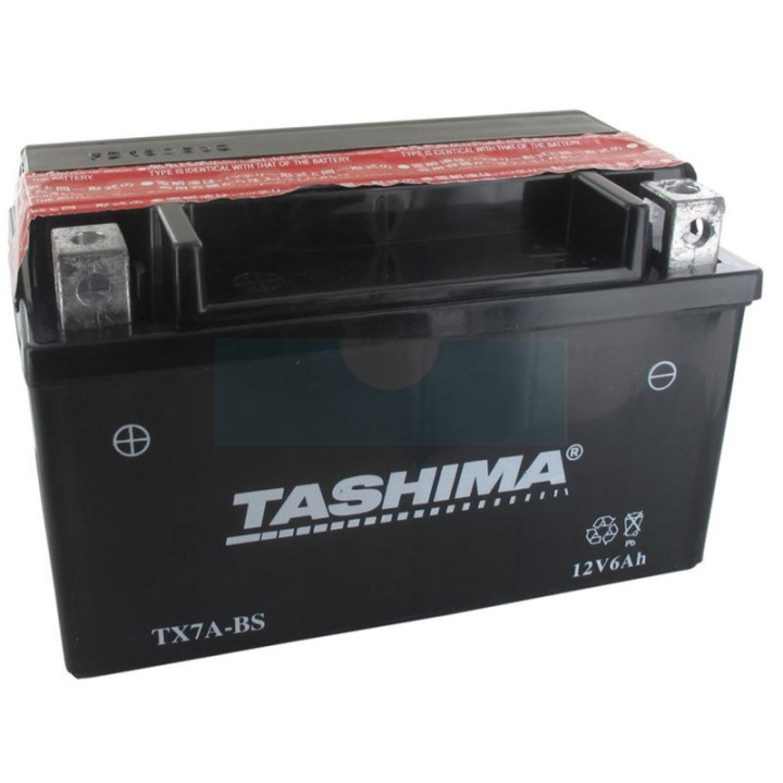 Batterie plomb étanche sans entretien Tachima 12V, 6Ah (FTX7ABS)