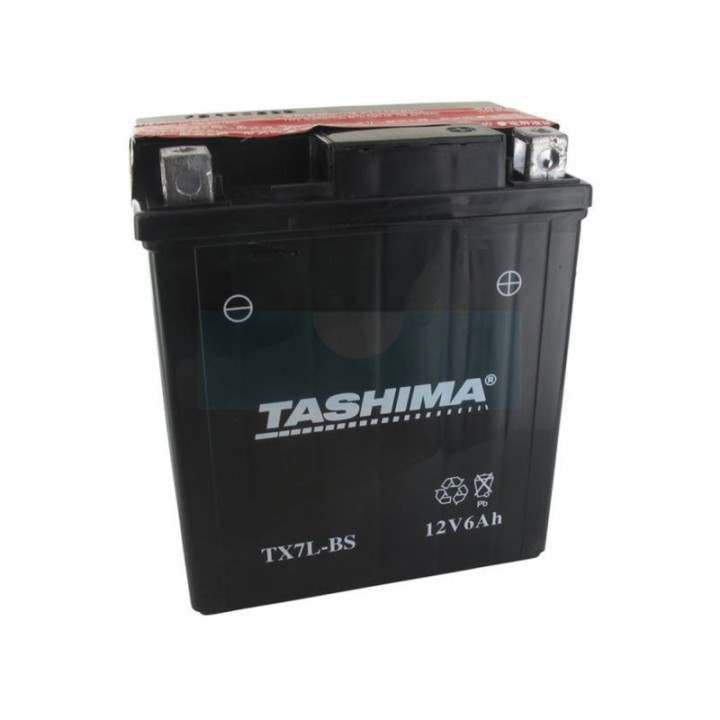 Batterie plomb étanche sans entretien 12V, 6Ah (FTX7LBS)