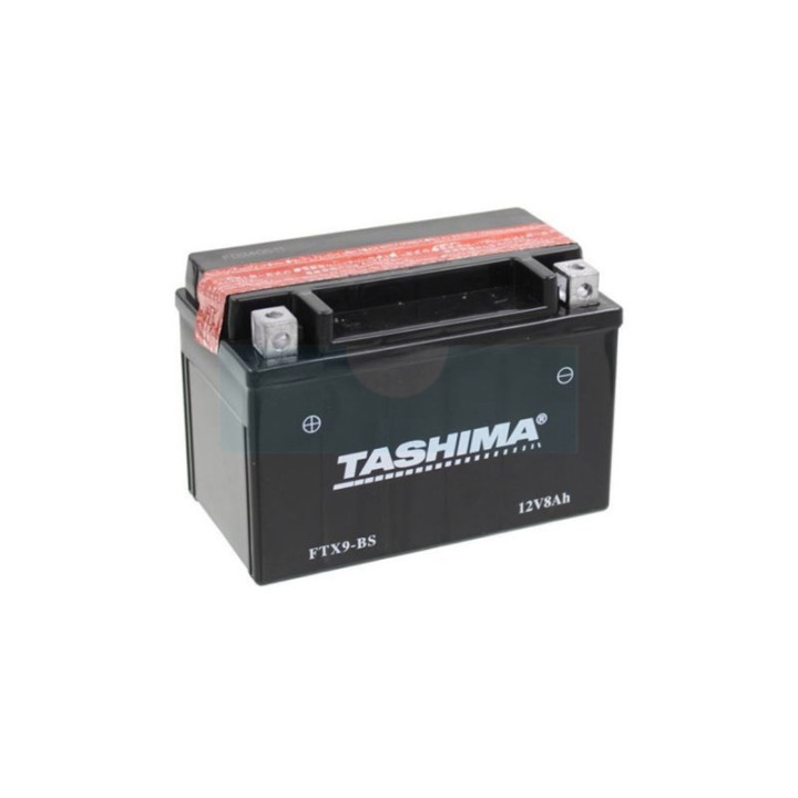 Batterie plomb étanche sans entretien Tachima 12V, 8Ah (FTX9BS)