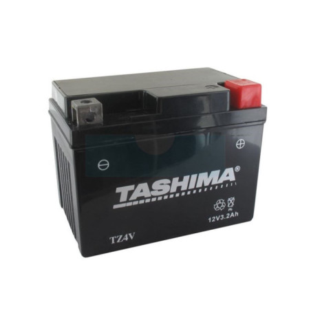 Batterie renforcée et sans entretien (AGM) 12V, 3Ah (FTZ4V)