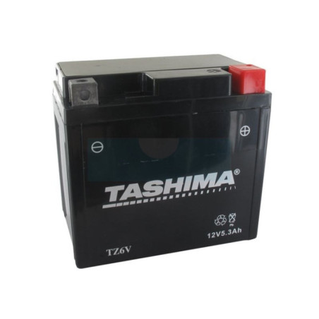Batterie renforcée et sans entretien (AGM) 12V, 5Ah (FTZ6V)