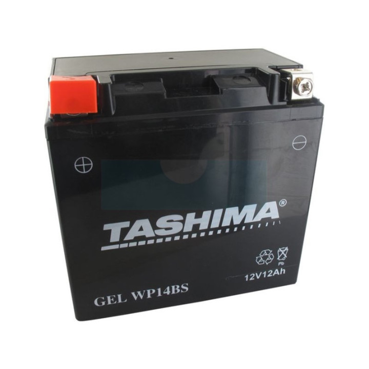 Batterie plomb étanche gel/agm 12V WP, 12Ah (WP14BS)
