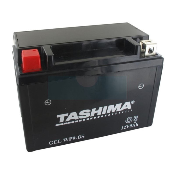 Batterie plomb étanche gel/agm 12V WP, 8Ah (WP9BS)