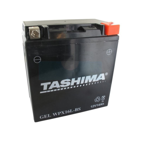 Batterie plomb étanche gel/agm 12V WP, 14Ah (WPX16LBS)