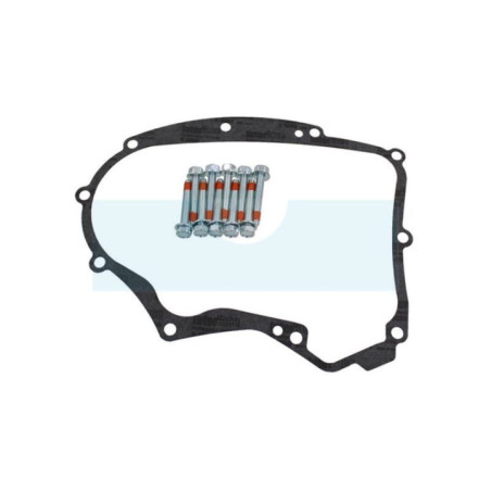 Joint de carter pour moteur Briggs & Stratton (591911)