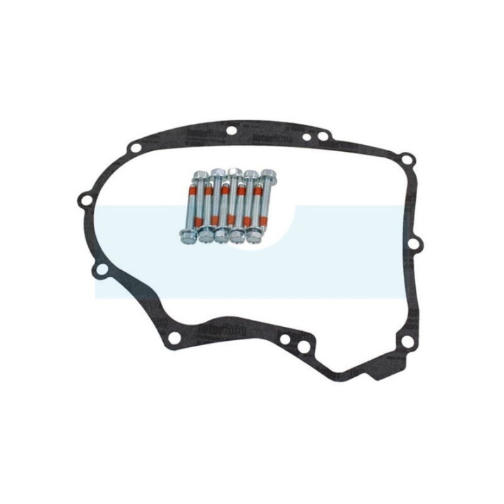 Joint de carter pour moteur Briggs & Stratton (591911)