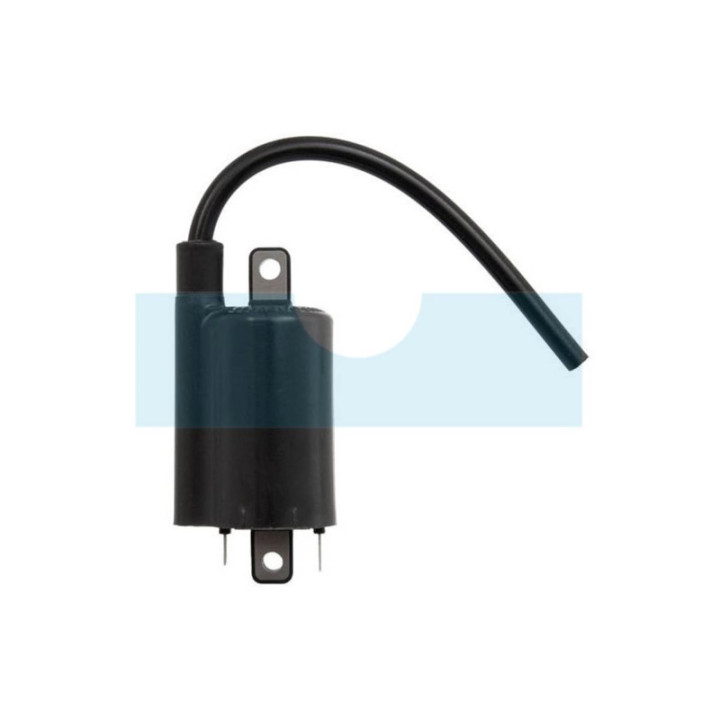 Bobine d'allumage pour moteur Kawasaki (211212083)