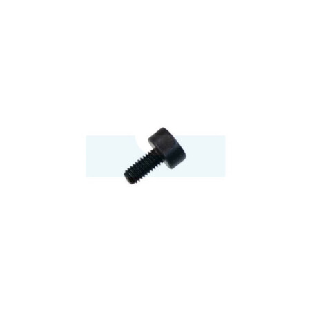 Vis de fixation de pot d'échappement pour taille-haie Husqvarna (503202508)