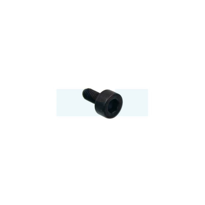 Vis de fixation de pot d'échappement pour taille-haie Husqvarna (503202508)
