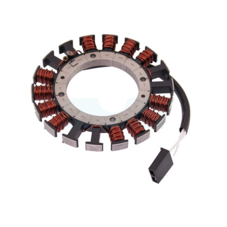 Alternateur pour moteur Kawasaki (590317017)