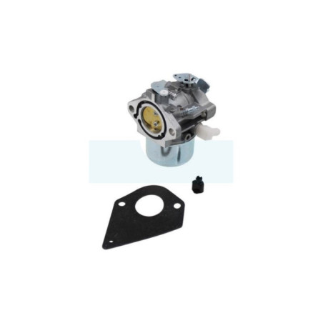 Carburateur pour moteur Briggs & Stratton (499158)