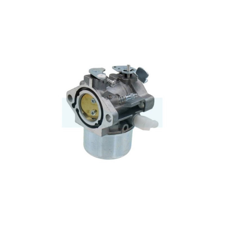 Carburateur pour moteur Briggs & Stratton (499158)