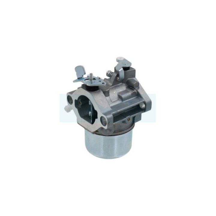 Carburateur pour moteur Briggs & Stratton (499158)