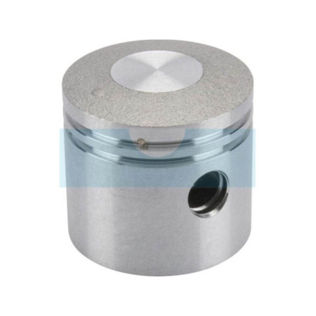 Piston pour moteur Kawasaki (130010717)