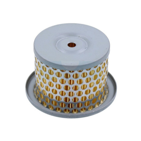 Filtre à air pour moteur Robin (2273280317)