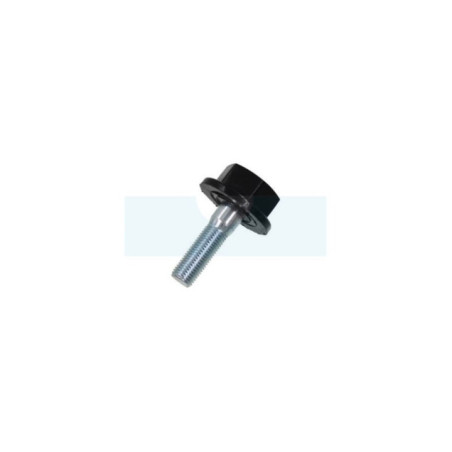 Vis de lame pour tondeuse Stiga (3810043521)