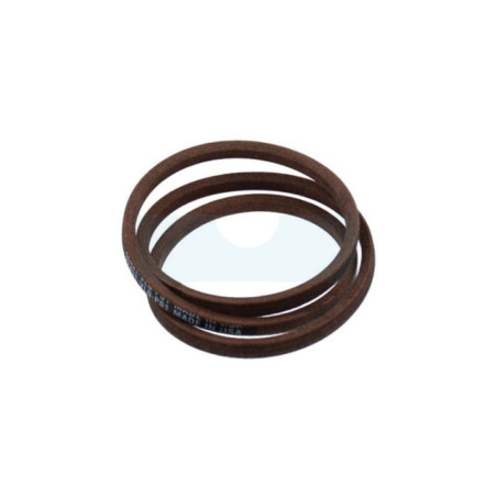 Courroie de traction pour tondeuse Honda (22431VL0P01)