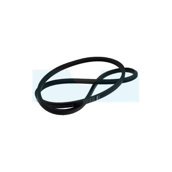 Courroie Mitsuboshi pour tracteur tondeuse Grillo (54593)