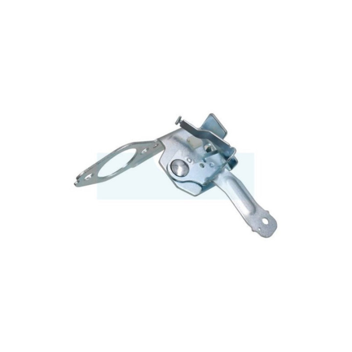 Commande de régulateur pour moteur Briggs & Stratton (793487)