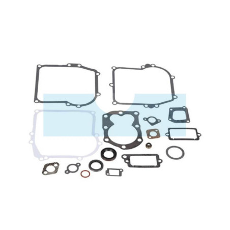 Pochette de joint pour moteur Briggs & Stratton (590777)