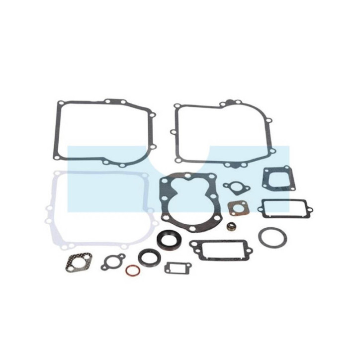 Pochette de joint pour moteur Briggs & Stratton (590777)
