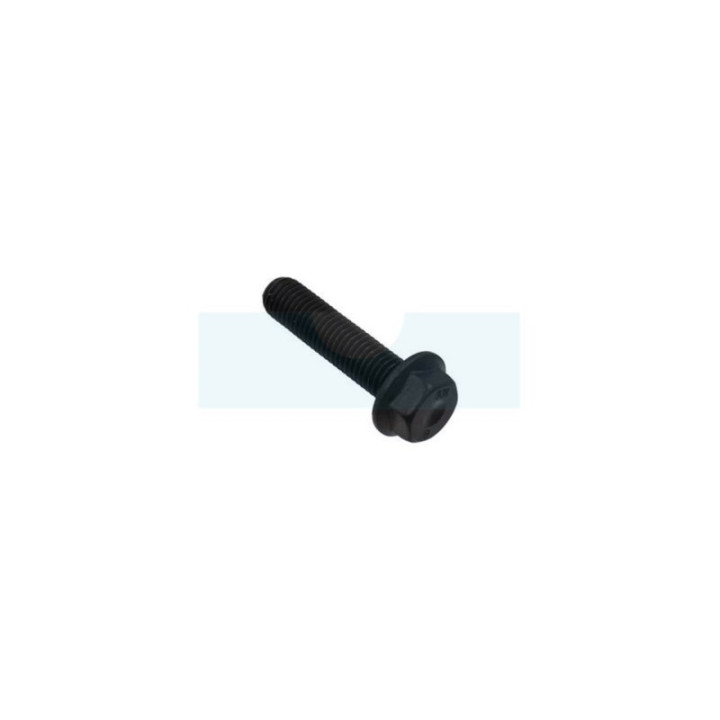 Vis de lame pour tondeuse As Motor (E08291)