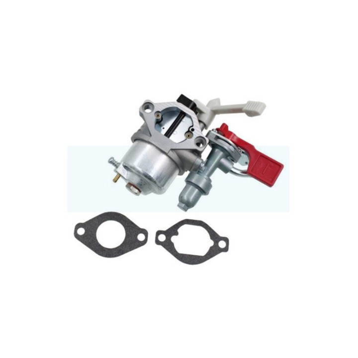Carburateur pour moteur Briggs & Stratton (595318)