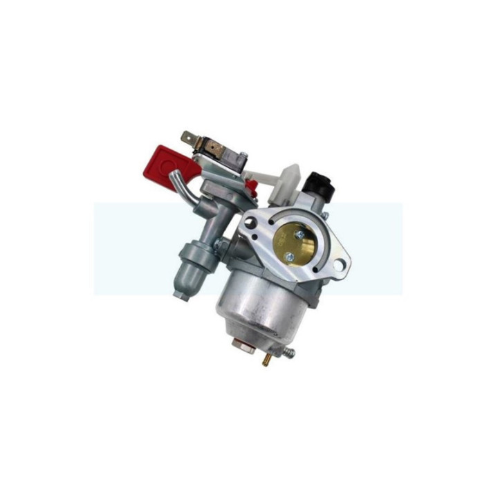 Carburateur pour moteur Briggs & Stratton (595318)