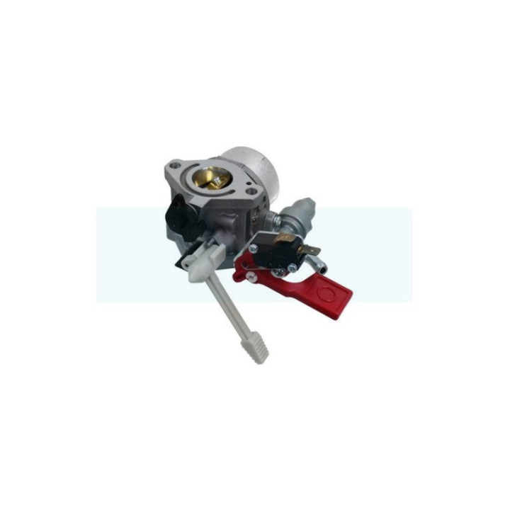 Carburateur pour moteur Briggs & Stratton (595318)