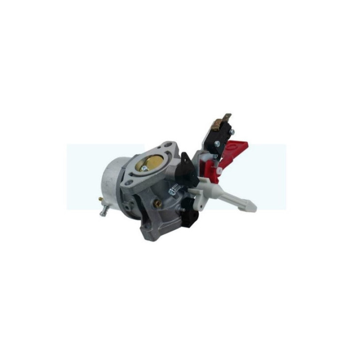 Carburateur pour moteur Briggs & Stratton (595318)