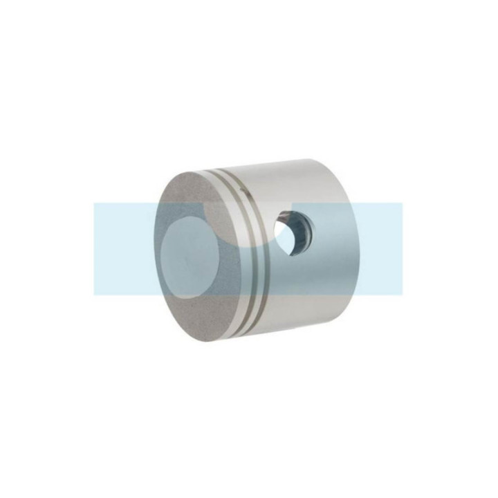 Piston pour moteur Kawasaki (130010756)